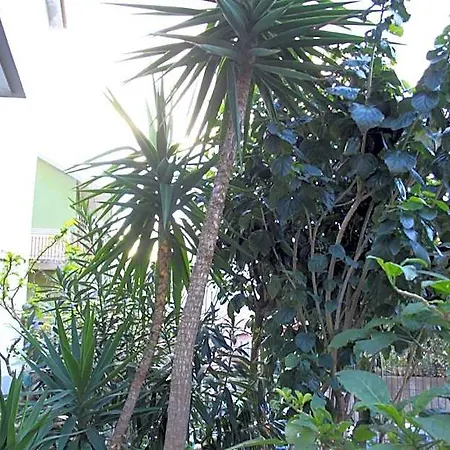 فندق مبيت وإفطار Mimosa جيارديني ناكسوس