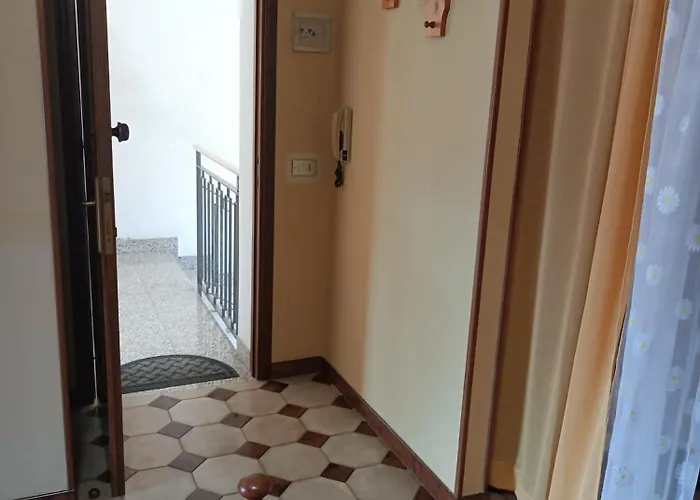 Alojamento de Acomodação e Pequeno-almoço Mimosa 4*